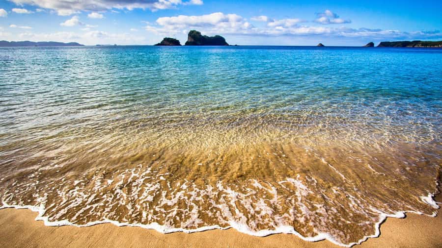 From Auckland: Cathedral Cove & Hot Water Beach Tour - What You Really Need for Hot Water Beach Success