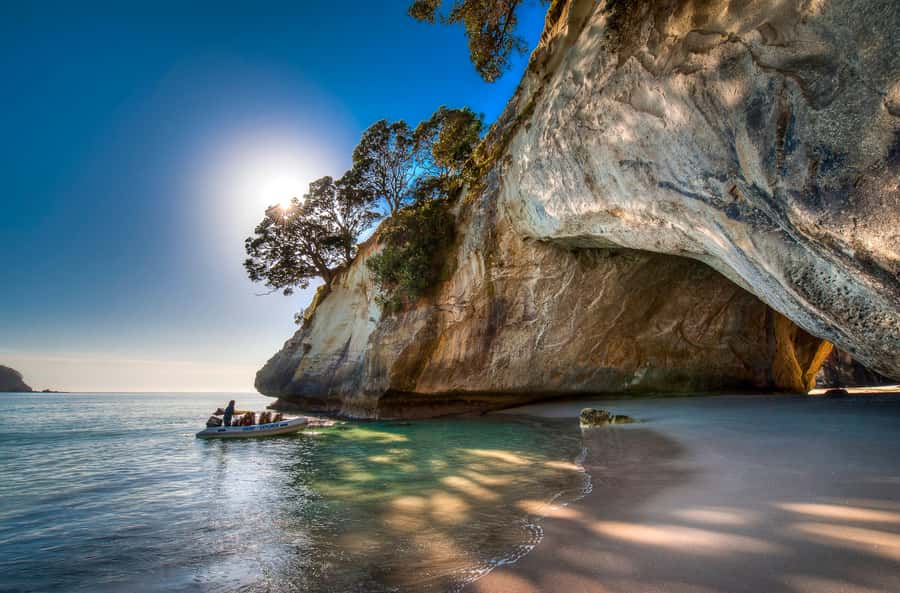 From Auckland: Cathedral Cove & Hot Water Beach Tour - How the Day Flows: The Stops That Keep You Moving