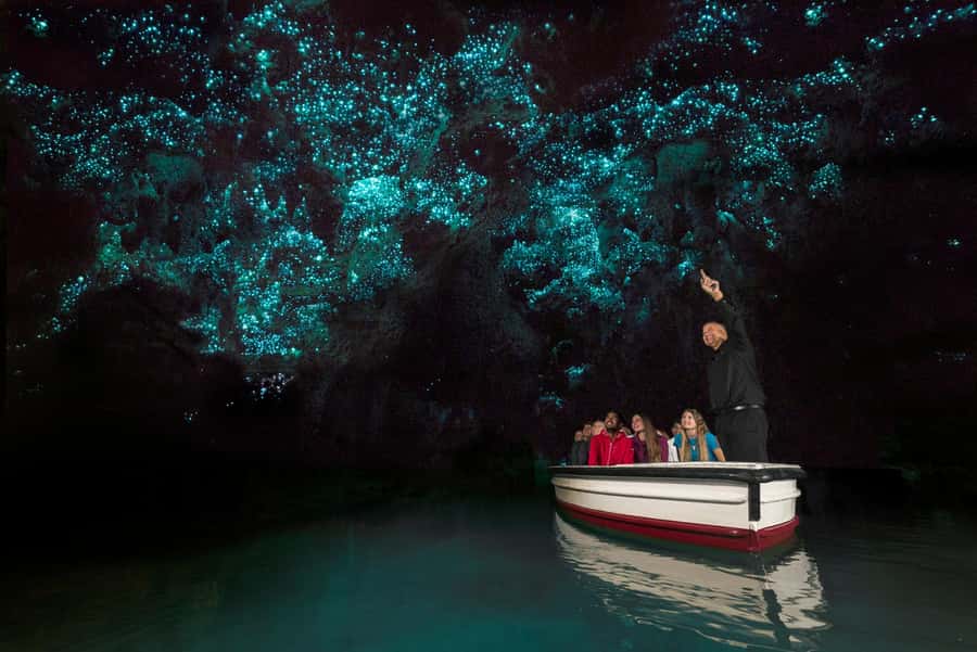 From Auckland: Day Trip to Waitomo Glow Worm Caves - Quick hits on the Auckland to Waitomo Glowworm Caves day trip