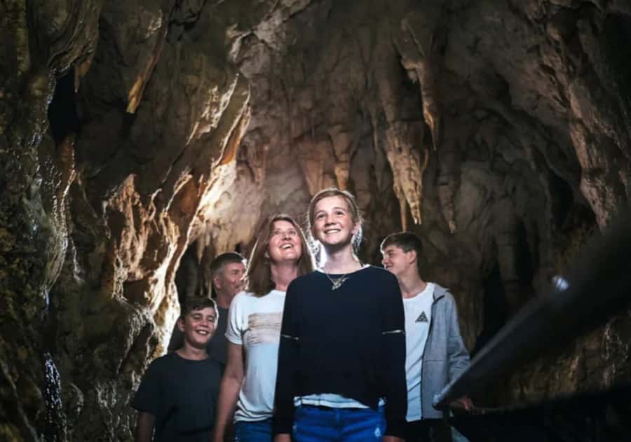 From Auckland: Day Trip to Waitomo Glow Worm Caves - Waitomo Homestead and gift shop stop: the 30-minute buffer