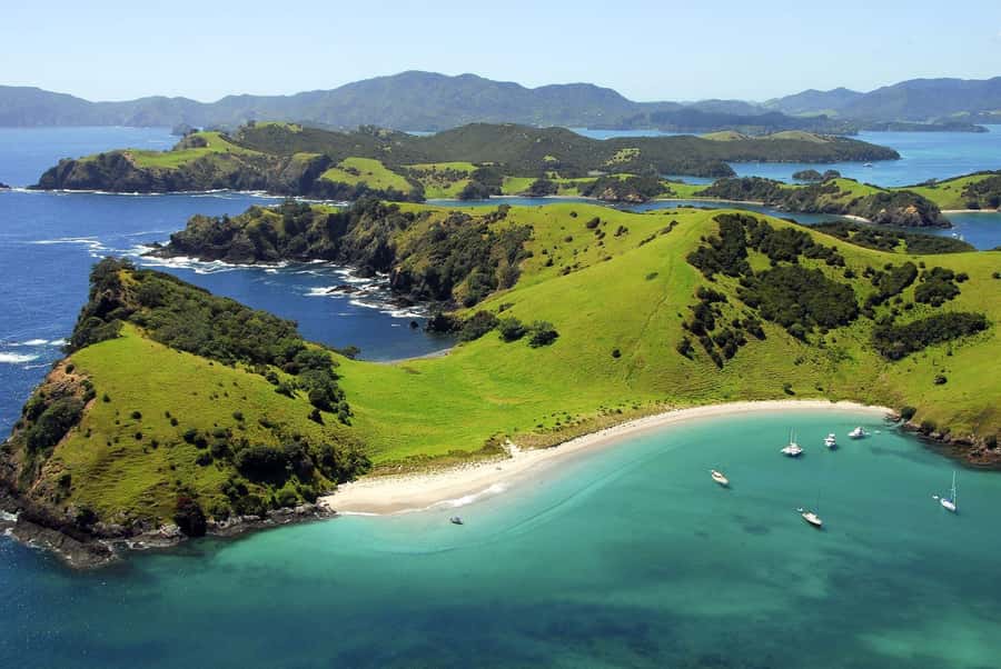 From Auckland: Full-Day Tour to the Bay of Islands - Northland Morning: Auckland Pickup to Paihia Basecamp