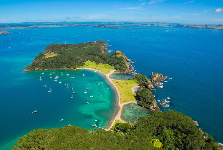 From Auckland: Full-Day Tour to the Bay of Islands - The Catamaran in Paihia: Dolphin Spotting and 144 Islands at Sea