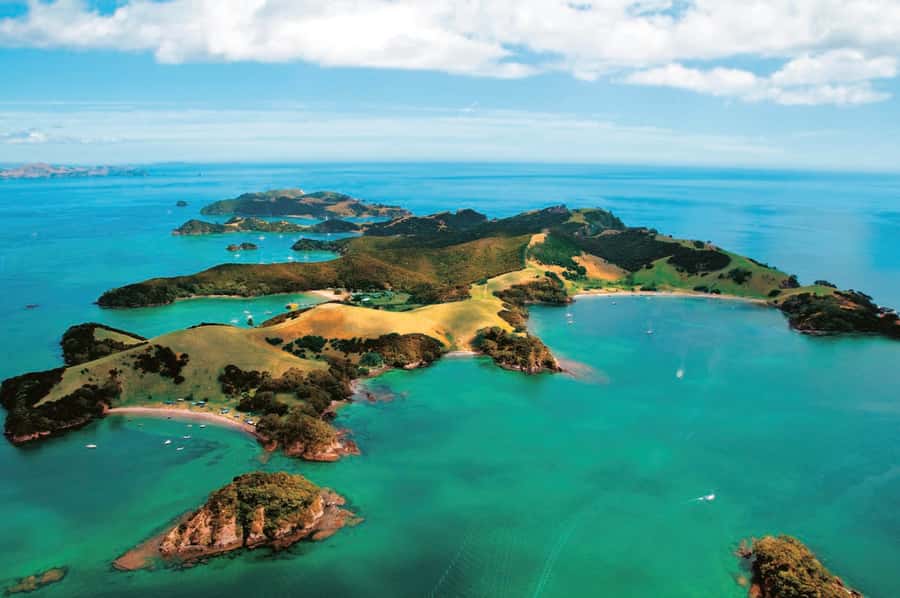 From Auckland: Full-Day Tour to the Bay of Islands - Return to Auckland: Northland Roads, More Storytelling, Less Waiting