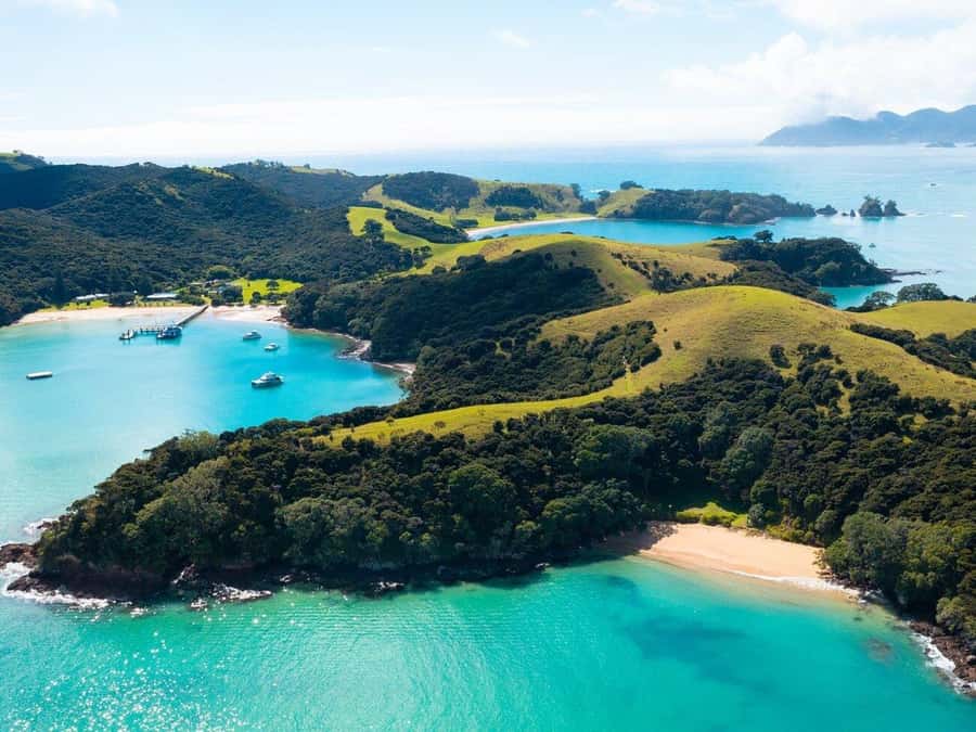From Auckland: Full-Day Tour to the Bay of Islands - Who Should Book This Bay of Islands Day Trip (and Who Should Rethink It)