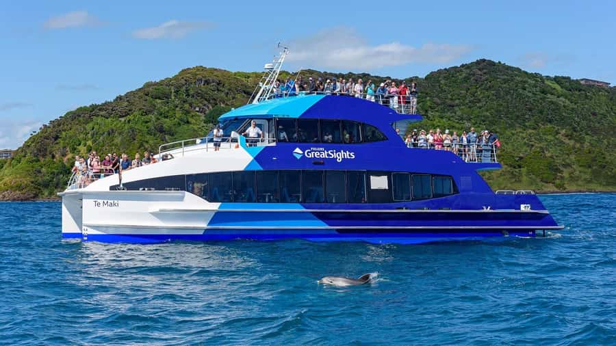 From Auckland: Full-Day Tour to the Bay of Islands - Should You Book This Tour or Not?