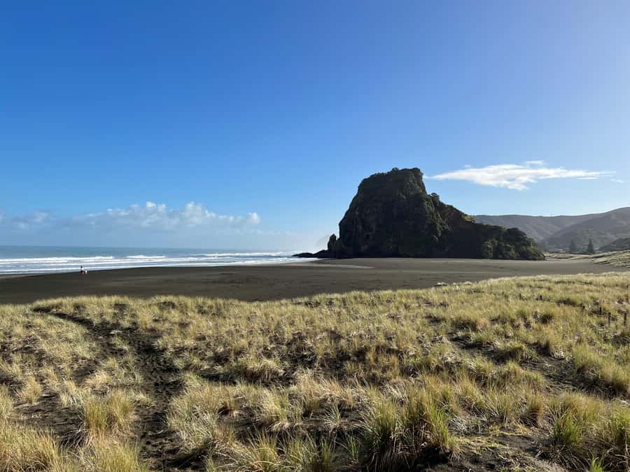 From Auckland: Guided Tour of Piha with Scenic Beach Walks - Waitakere Ranges lookouts: Auckland Harbor from about 390 m