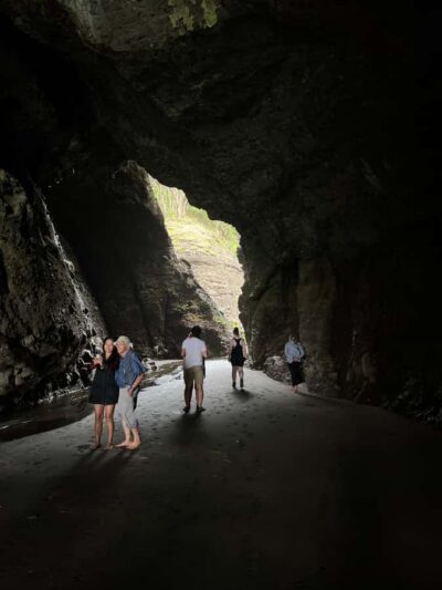 From Auckland: Guided Tour of Piha with Scenic Beach Walks - Getting there: Viaduct Basin meet-up and a comfortable Mercedes Sprinter ride