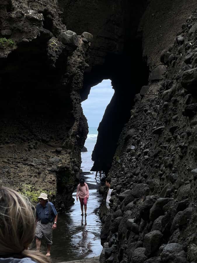 From Auckland: Guided Tour of Piha with Scenic Beach Walks - Snacks, cold water, towels, and the beach picnic lunch