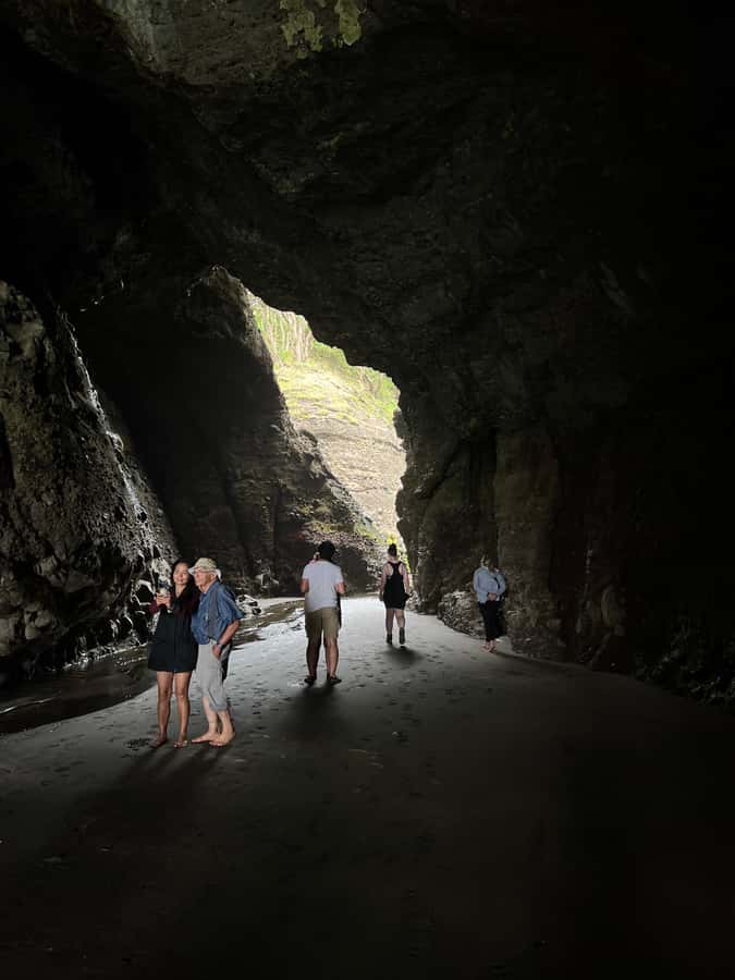 From Auckland: Guided Tour of Piha with Scenic Beach Walks - Getting there: Viaduct Basin meet-up and a comfortable Mercedes Sprinter ride