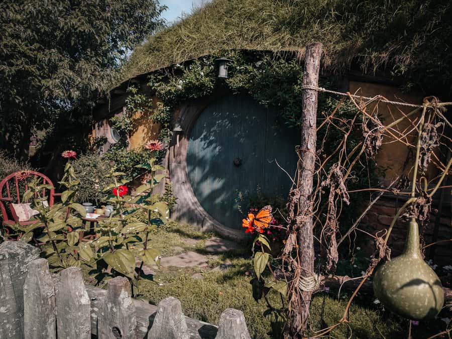 From Auckland: Hobbiton Afternoon Tour - Late-Morning Auckland Pickup: Less Rush, More Daylight