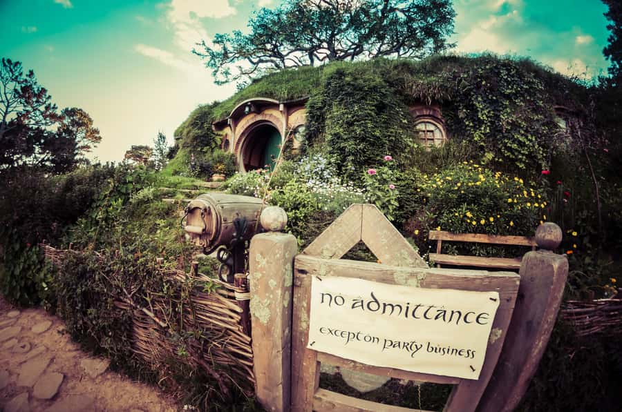 From Auckland: Hobbiton Afternoon Tour - Premium Mercedes Minibus Comfort for an 8-Hour Day