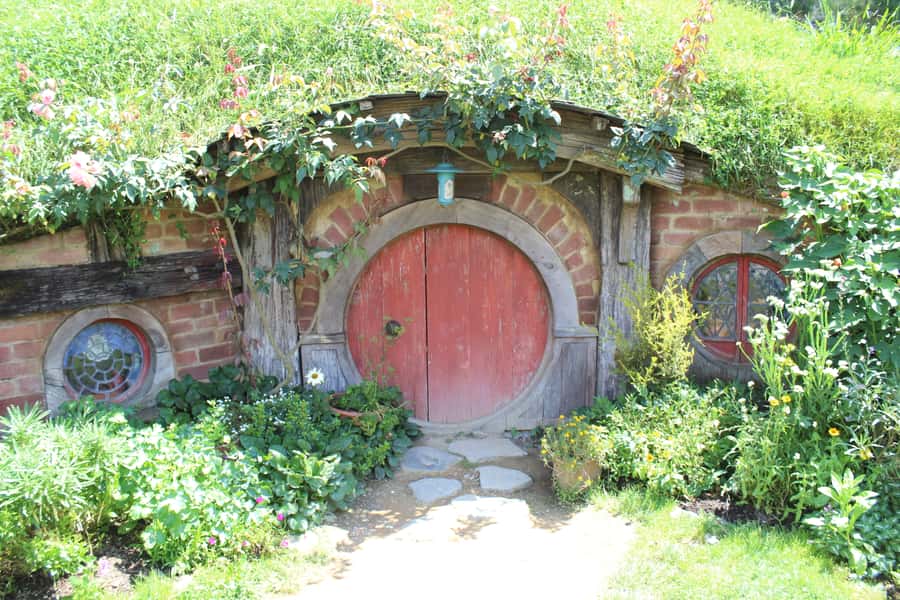 From Auckland: Hobbiton Afternoon Tour - Food, Weather, and What to Wear (NZ UV Is No Joke)