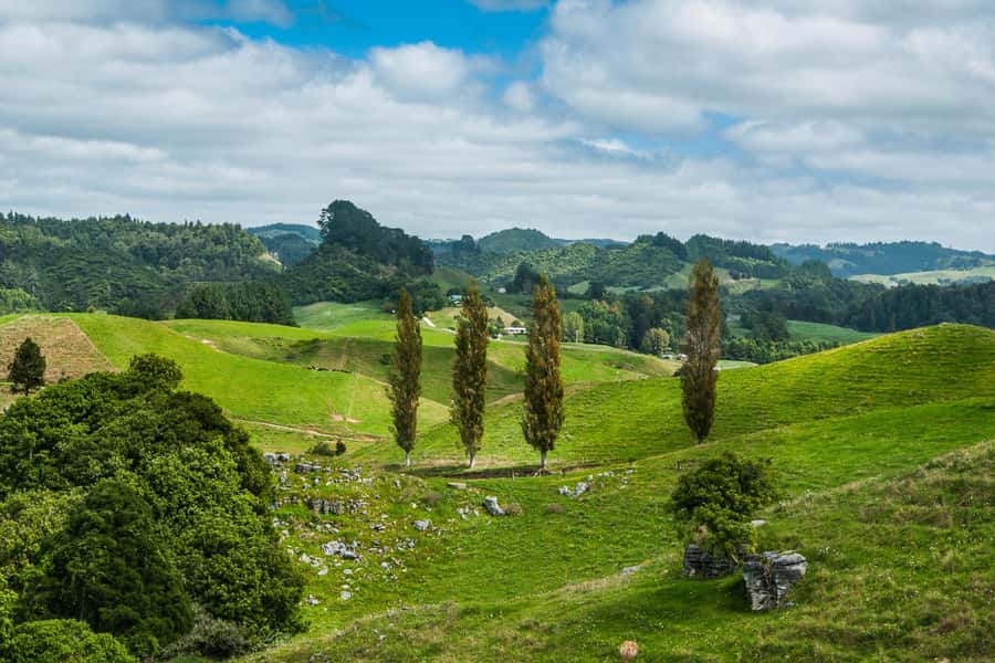 From Auckland: Hobbiton and Waitomo Day Tour with Lunch - Hobbiton Movie Set: What the Shire’s Rest Tour Covers
