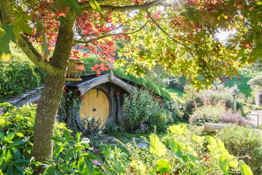 From Auckland: Hobbiton and Waitomo Day Tour with Lunch - Waikato Story Time: LOTR and Local Culture on the Bus