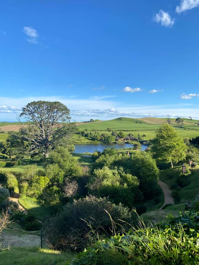 From Auckland: Hobbiton & Hamilton Gardens Small Group Tour - Who This Tour Fits Best (And Who Should Consider Alternatives)
