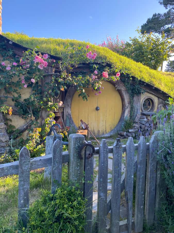 From Auckland: Hobbiton & Hamilton Gardens Small Group Tour - What You Really Get for $209 Per Person
