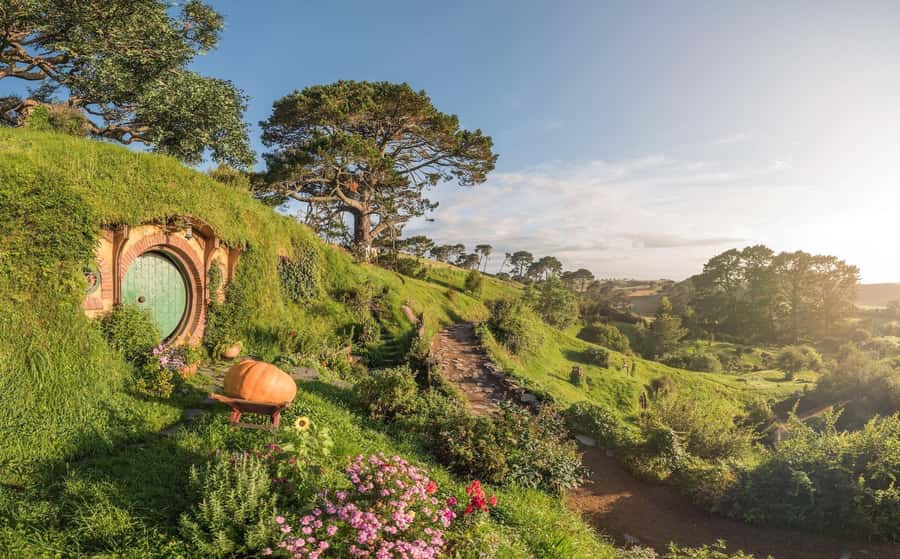 From Auckland: Hobbiton Movie Set Day Tour with Picnic Lunch - Key highlights you’ll actually feel