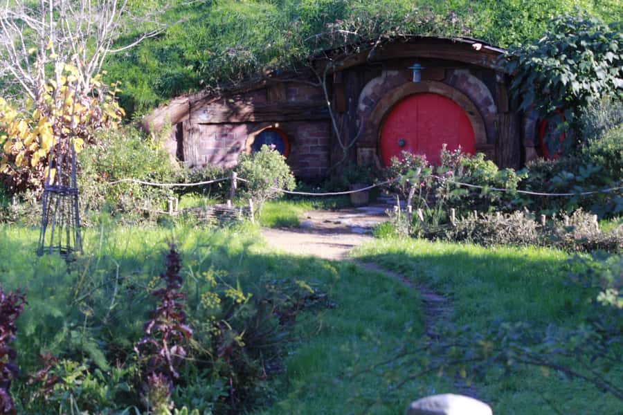 From Auckland: Hobbiton & Rotorua Tour with Lunch at Te Puia - What to Bring (and What to Skip) for a Day That Changes Weather Fast