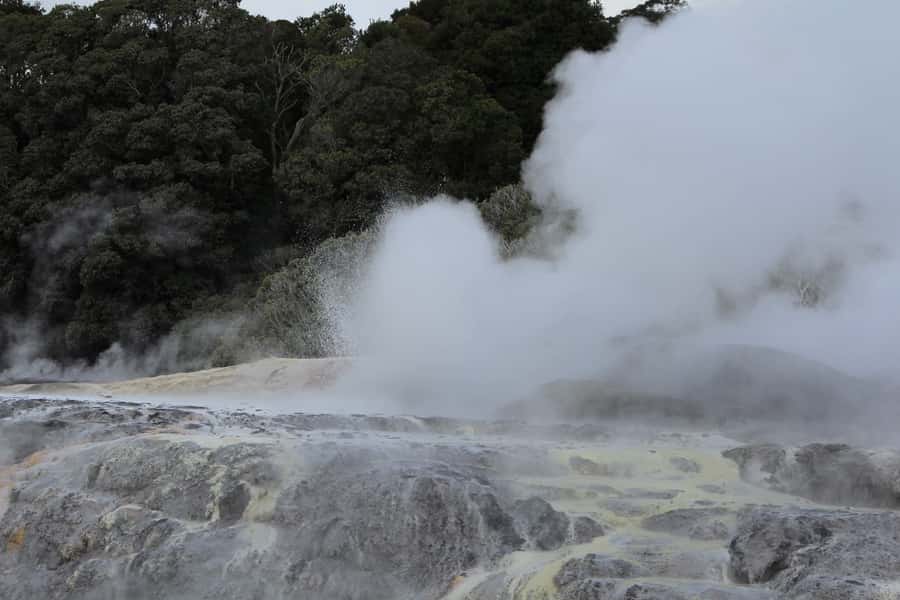 From Auckland: Hobbiton & Rotorua Tour with Lunch at Te Puia - Rotorua and Te Puia: Geothermal Power in the Te Whakarewarewa Valley