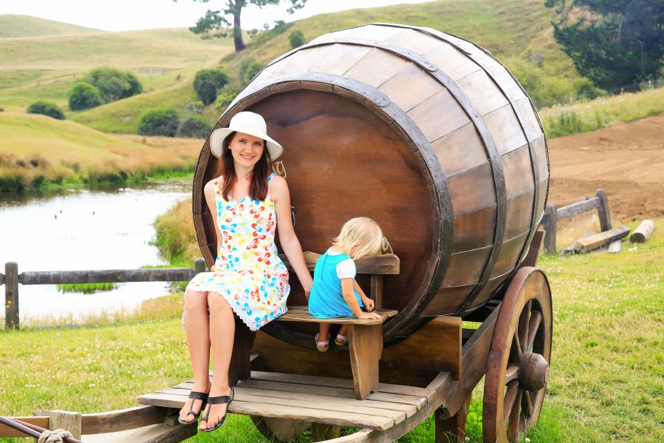 From Auckland: Hobbiton & Rotorua Tour with Lunch at Te Puia - The Lunch Setup: Buffet, Professional Kitchen, and Why That Matters