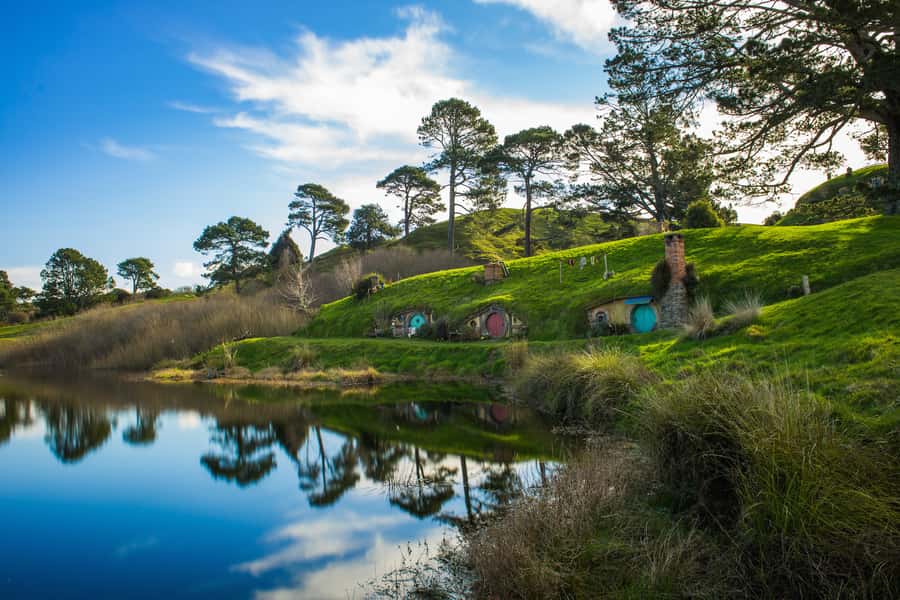 From Auckland: Hobbiton & Waitomo Caves Day Trip with Lunch - The drive south from Auckland: views plus useful commentary