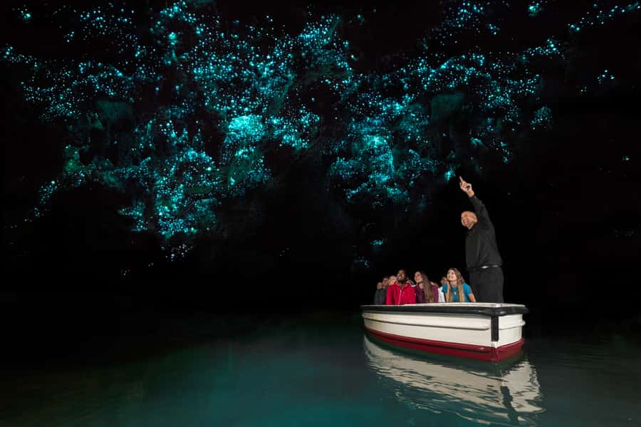 From Auckland: Hobbiton & Waitomo Caves Day Trip with Lunch - Who this tour is best for (and who should rethink it)