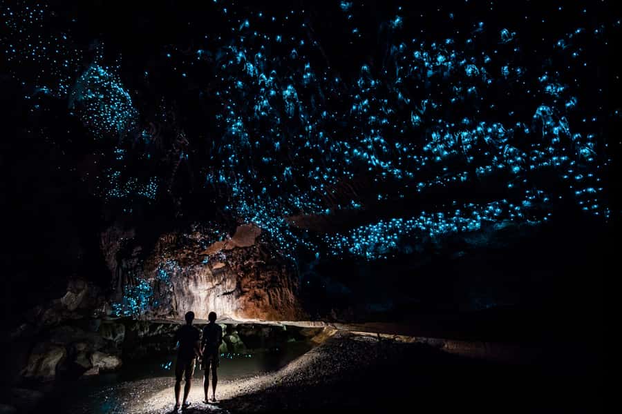 From Auckland or Rotorua: Hobbiton & Waitomo Tour with Lunch - A long day with two headline stops (and why it works)