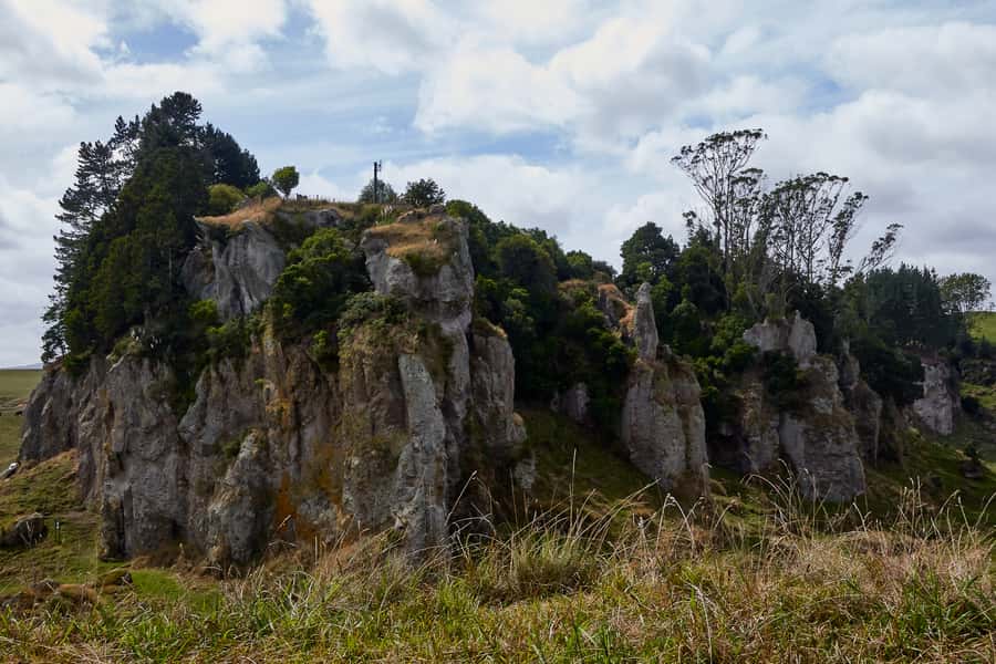 From Auckland or Rotorua: Hobbiton & Waitomo Tour with Lunch - Value for money: what $286 buys you here