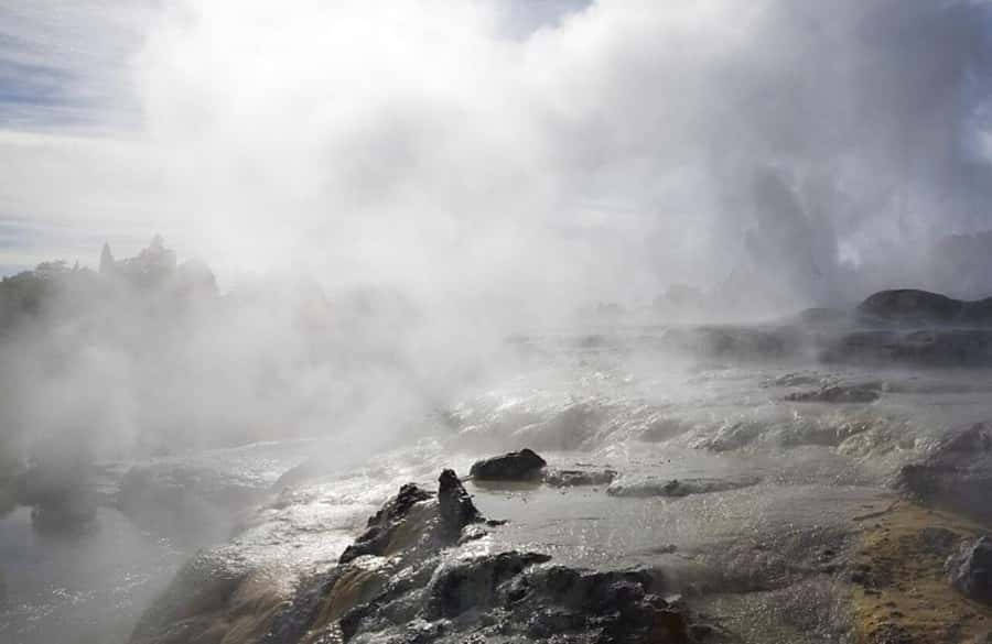 From Auckland: Rotorua Māori Village & Hot Springs with Haka - Who This Tour Fits Best (and Who Should Skip It)
