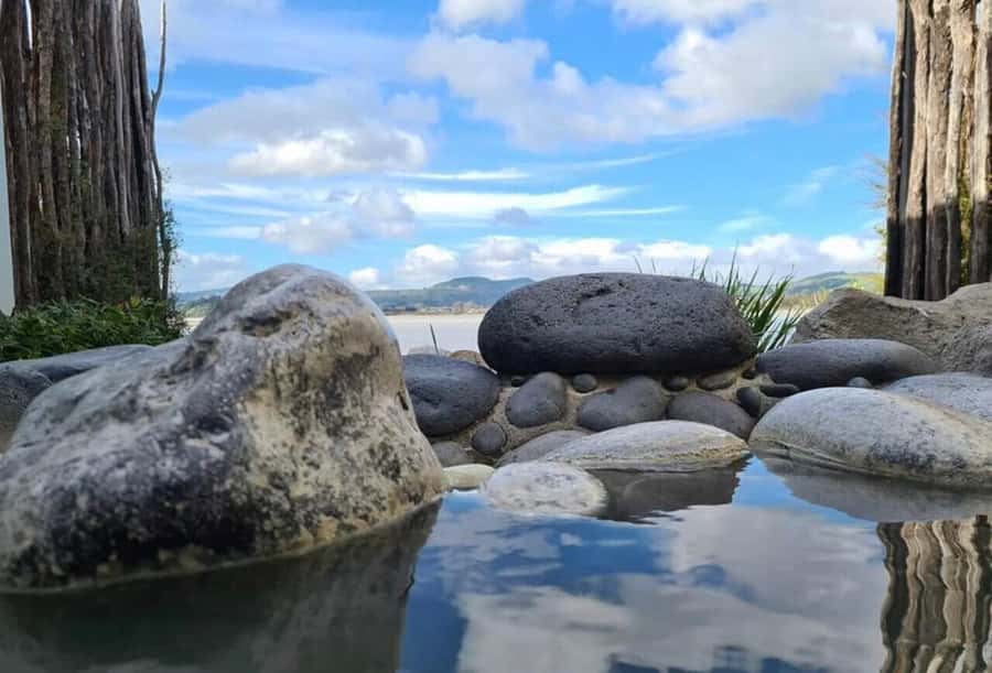 From Auckland: Rotorua Te Puia, Haka & Polynesian Spa Tour - Polynesian Spa on Lake Rotorua: Alkaline vs Acidic Thermal Pools