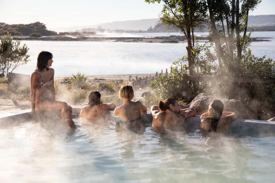 From Auckland: Rotorua Te Puia, Haka & Polynesian Spa Tour - Should You Book This Auckland to Rotorua Te Puia, Haka & Polynesian Spa Tour?