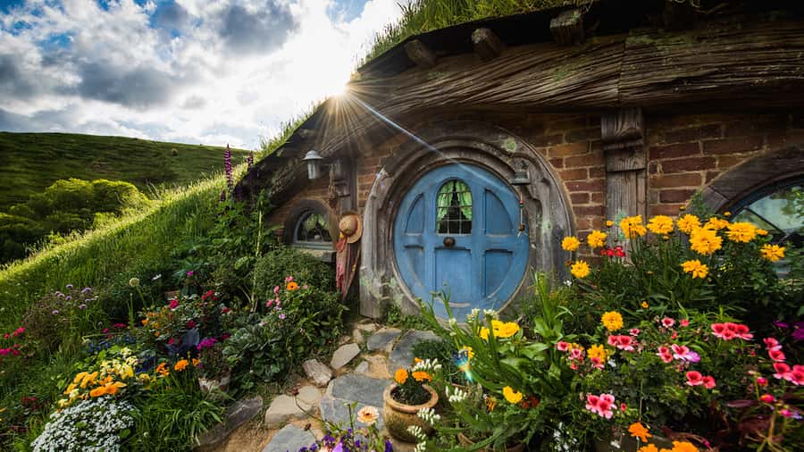 From: Auckland: Rotorua via Hobbiton Tour One Way Tour - Shire’s Rest and the Alexander family sheep farm: your Hobbiton “arrival moment”
