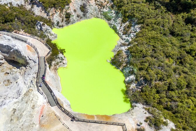 From Auckland to Rotorua Waiotapu and Activity Combinations - Price and Value: Is $210.99 a Good Deal?