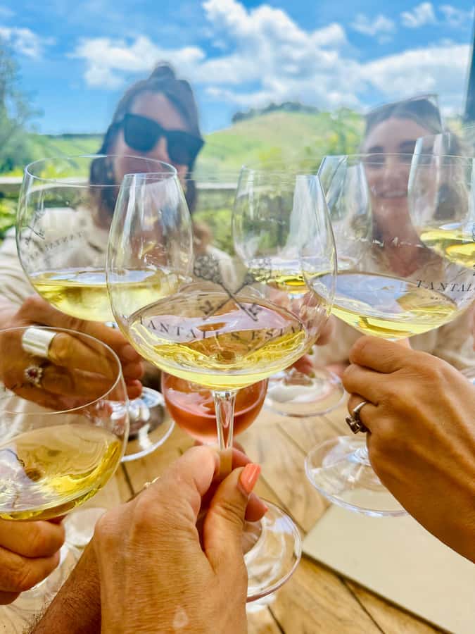 From Auckland: Waiheke Island Wineries' Tour - The winery sequence: 4 tastings you can compare
