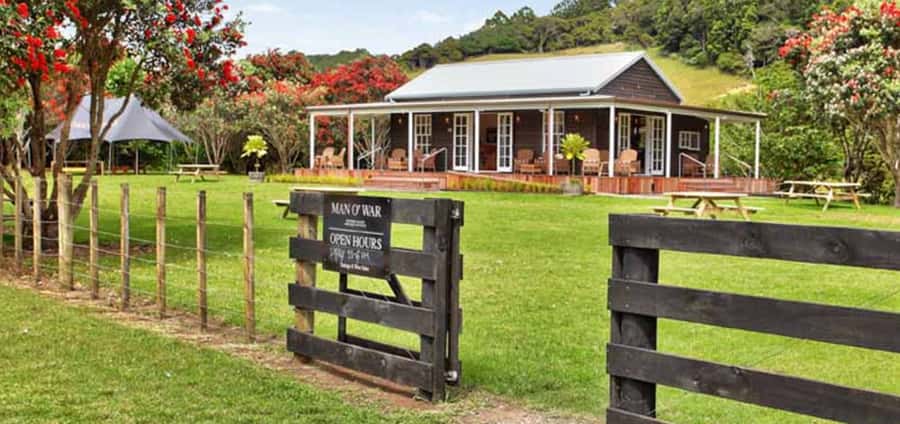 From Auckland: Waiheke Island Wineries' Tour - Who should book this Waiheke wine tour