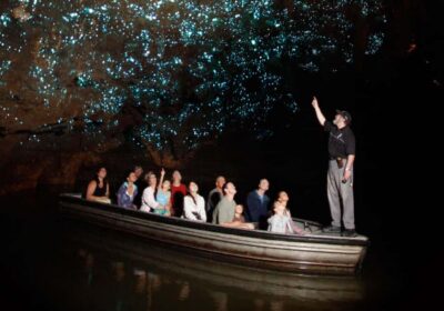 From Auckland: Waitomo Caves and Kiwi House Group Tour - Inside Waitomo Glowworm Caves: boat ride magic with real guidance