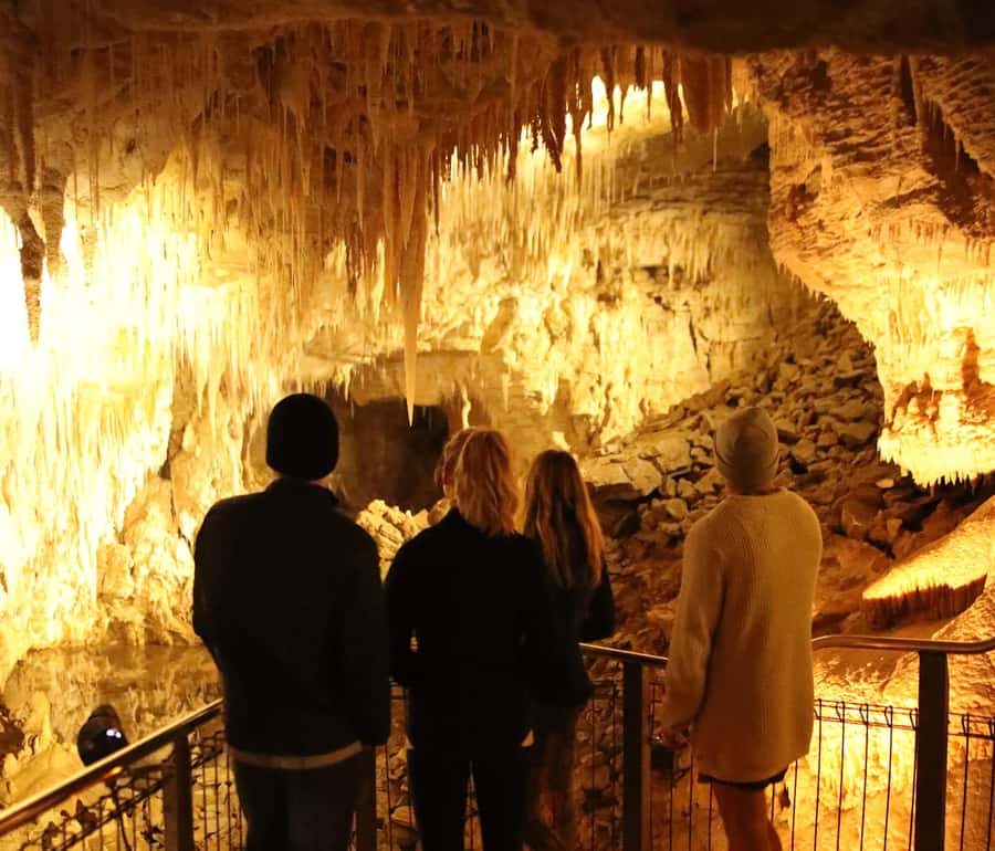 From Auckland: Waitomo Glow Worm Caves & Rotorua Tour - From Auckland to Waitomo: the Waikato road trip setup