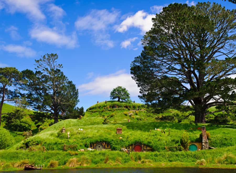 From Auckland: Waitomo & Hobbiton Bus Tour with Lunch - Waitomo Glowworm Caves: Limestone Formations and the Glowworm Grotto Boat Ride