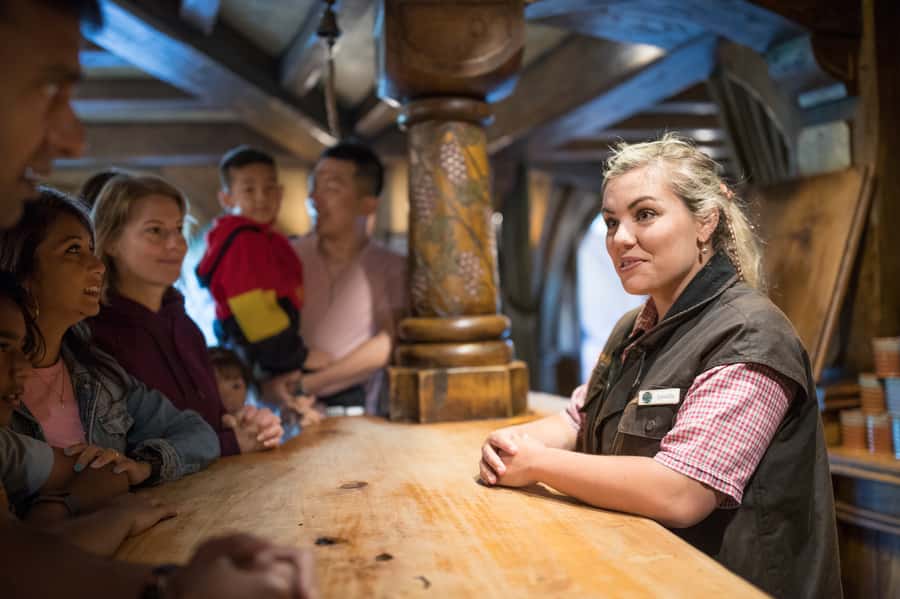 From Auckland: Waitomo & Hobbiton Bus Tour with Lunch - Who Should Book This Tour, and Who Might Want Another Option