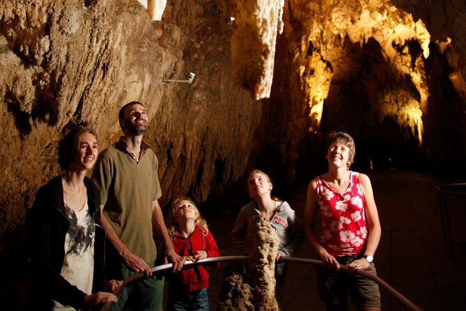 From Auckland:Hobbiton Movie Set & Waitomo Caves Small Group Tour - From Auckland to the Country: How the Day Flows