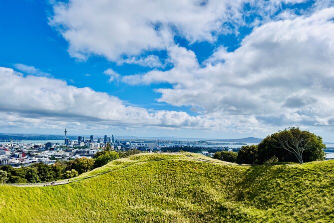Full-Day Auckland Discovery - Key highlights before you go