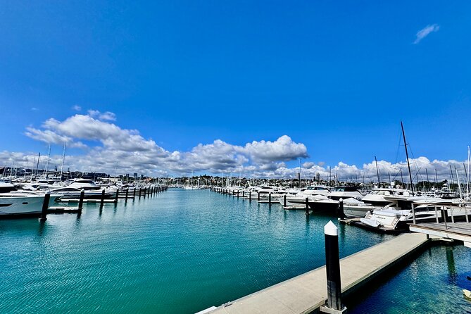Full-Day Auckland Discovery - Auckland Harbour Bridge: landmark stop with photo value