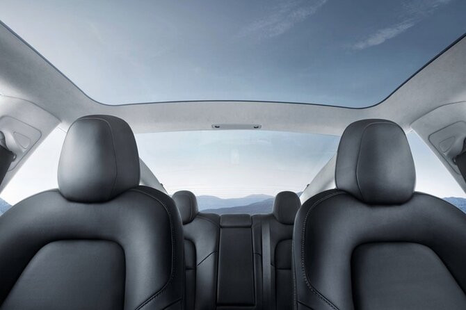 Full-Day Driver with Tesla Car-Customisable North Island Tour - Redwoods Treewalk to Rotorua’s Thermal Wonderland: A Day Turns Geothermal