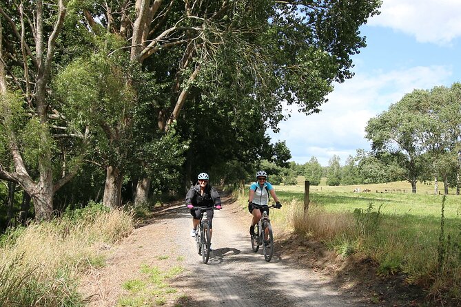 Full Day Ebike Tour in Karangahake Gorge (ex Auckland) - Why this e-bike day trip works (even if you’re not a cyclist)