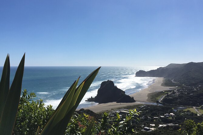 Full Day Ebike Tour in Karangahake Gorge (ex Auckland) - Waihi’s Martha Mine pit rim: guided views of the crater and gardens