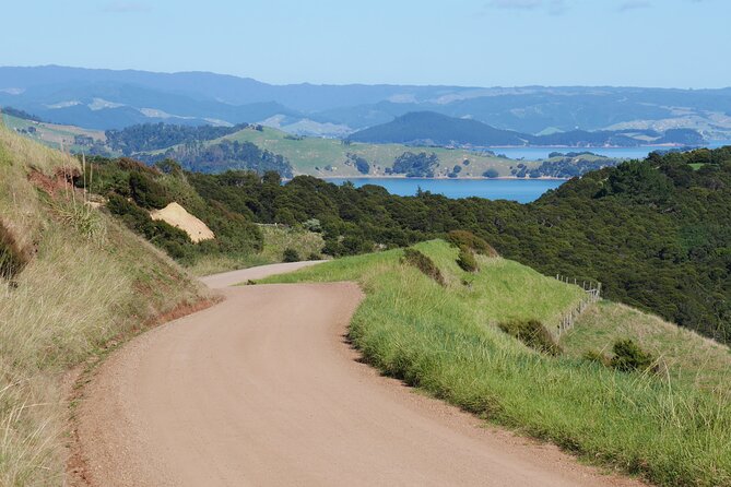 Full Day Private Waiheke Island Wine Tour Including Lunch - Why This Waiheke Private Wine Tour Feels Different