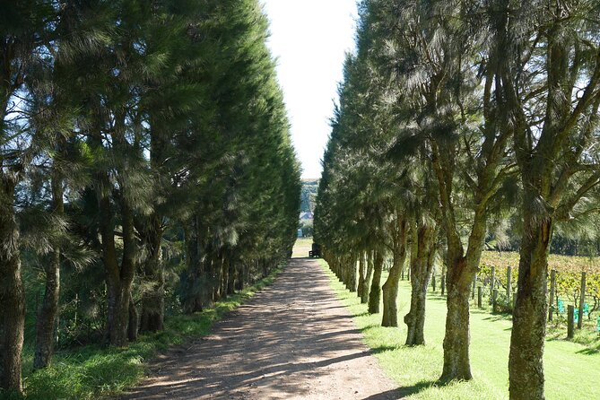 Full Day Private Waiheke Island Wine Tour Including Lunch - The Lunch Portion You’ll Be Glad Is Included