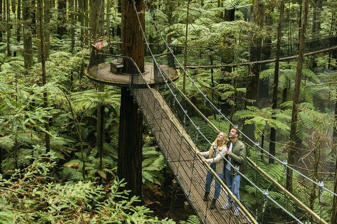 FULL DAY ROTORUA TOUR - Fully Customisable 13 hours Unlimited KMS - Rotorua and Taupō in two days: the mix that keeps it interesting