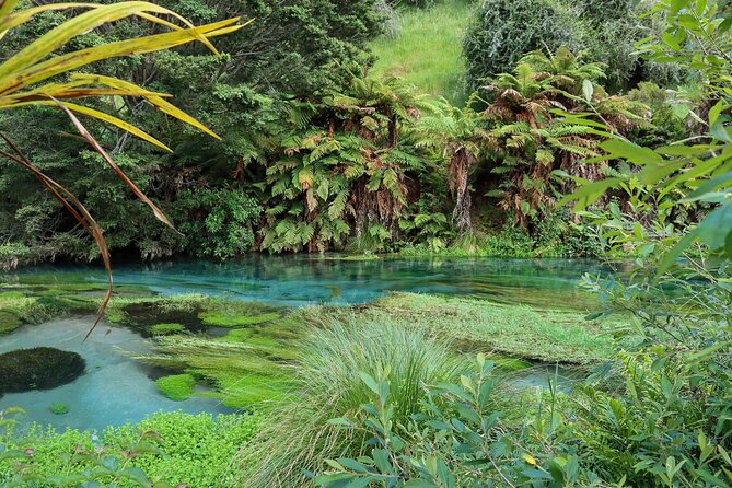 Full-Day Wine Tasting Tour in Auckland with 3-Course Vineyard Lunch - Westbrook Winery in the Ararimu Valley for an Older-Boutique Perspective