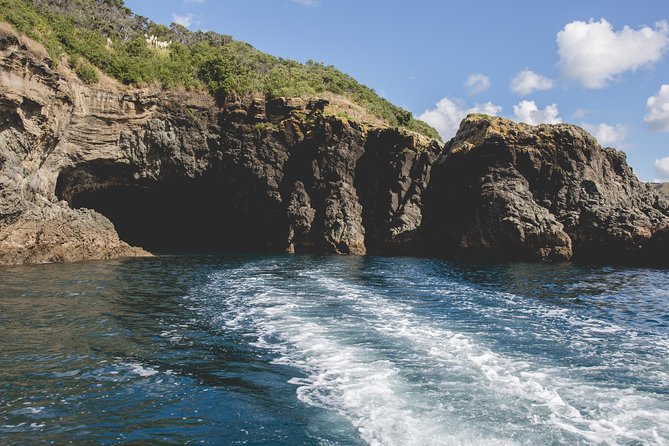 Glass Bottom Boat Tour - What makes this tour feel worth it for families